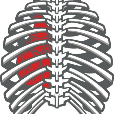 RibsHeartbck01NC2clr Thumbnail